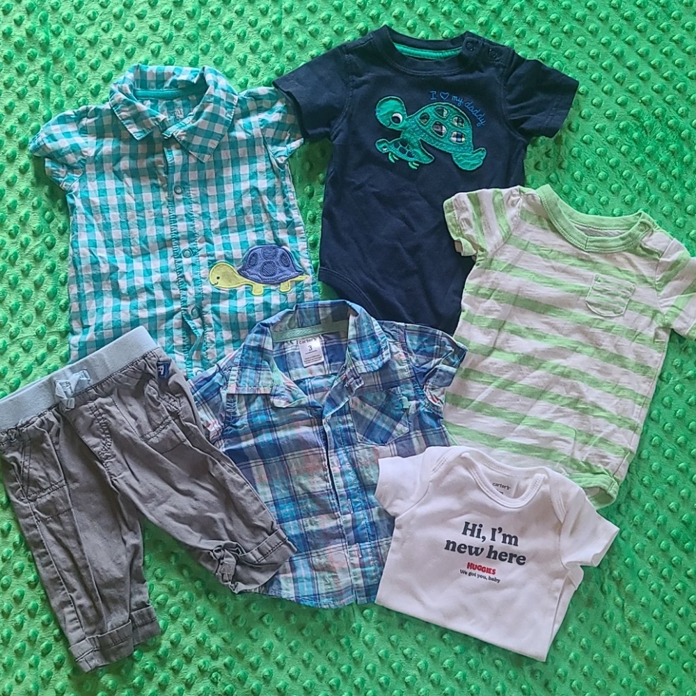Baby boy turtle lot